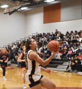 Division 1 Gold Championship Wowed Me: MTXI2025