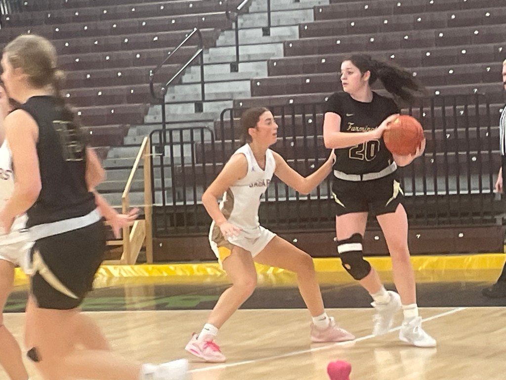 New Forwards Added to the Updated Class of 2028 Rankings