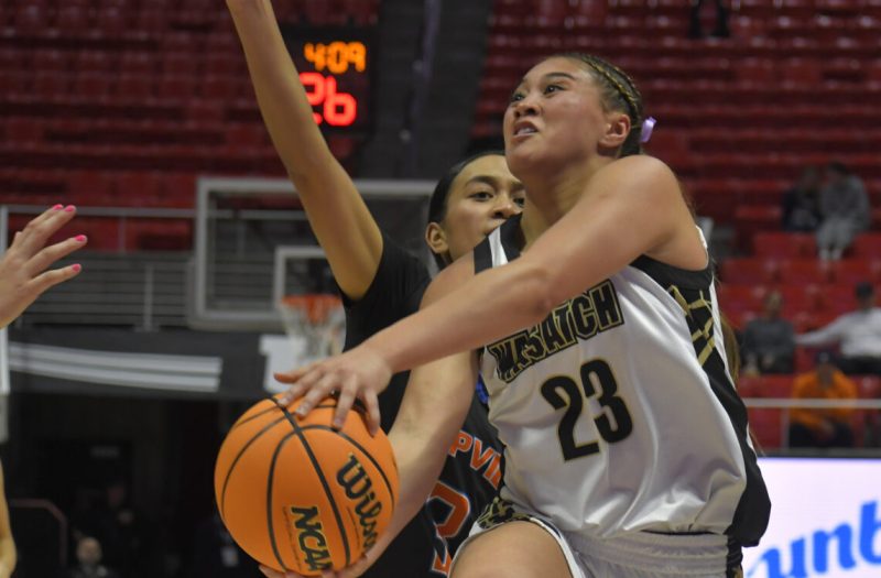 5A Region 7 Preview &amp;#8211; The Tallest Teams in 5A?