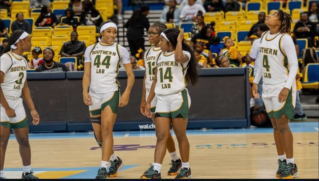 Southern Lab: The Next-Gen Powerhouse of Pure Talent