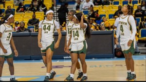 Southern Lab: The Next-Gen Powerhouse of Pure Talent