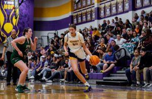 Rankings Update: 2028 Stock Risers