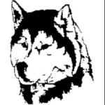 Northwestern-West Salem