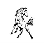 Warren-Alvarado-Oslo