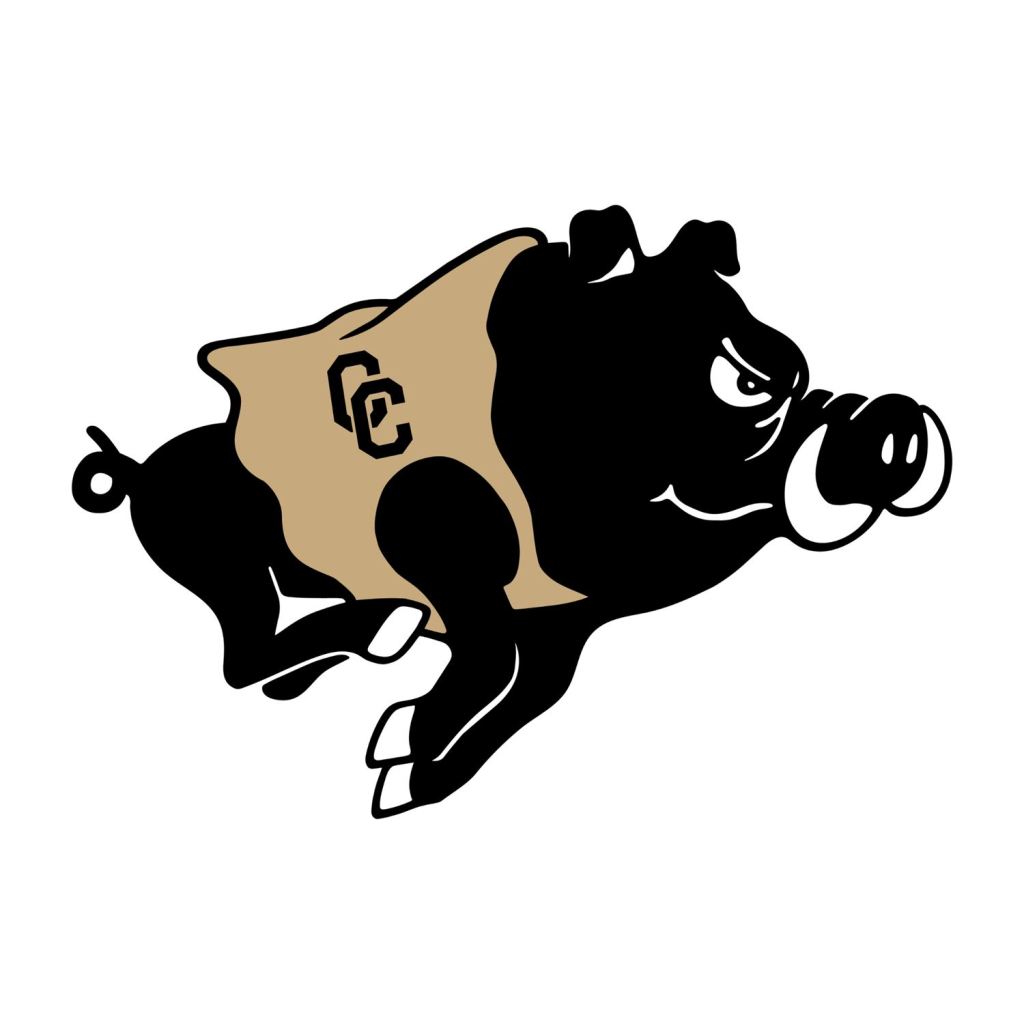 Colquitt County