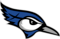 Central Minnesota Christian
