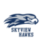 Skyview Academy