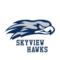 Skyview Academy