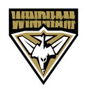 Windham