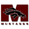 Monmouth Academy