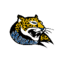 Somerset Tech