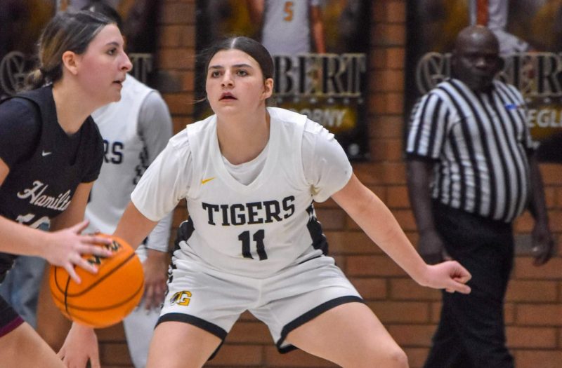 Mid-Season Freshman Report Card