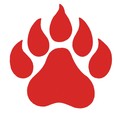 University School Of Jackson