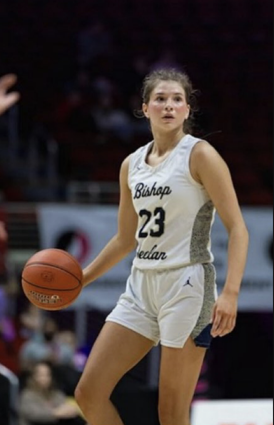 How Some Of The Best Are Doing