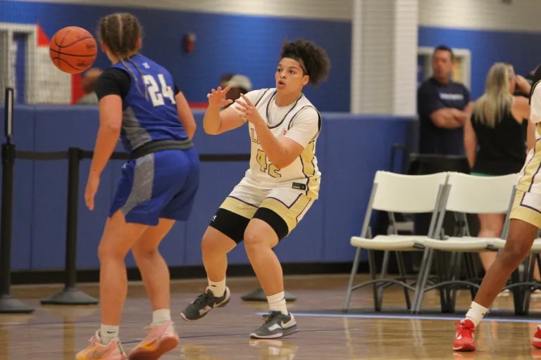 Central Division 4 Sectional Preview