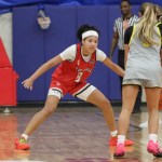 Central Division 5 Sectional Preview