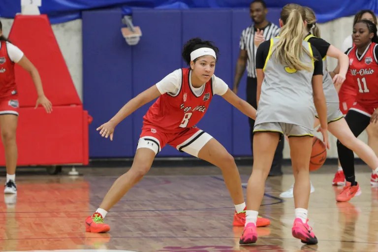 Central Division 5 Sectional Preview