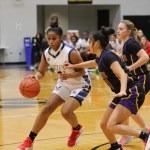 Central Division 3 Sectional Preview