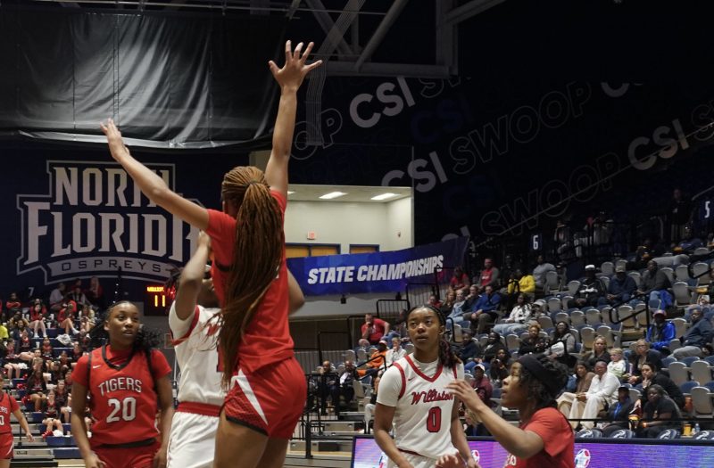 Summer Standouts - Defensive Stoppers