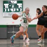 Previewing Sectional 1 in Division 4