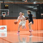 WIAA Division 1 Sectional Preview: Sectionals One and Two