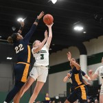 Division 3 State Tournament: What to Watch For