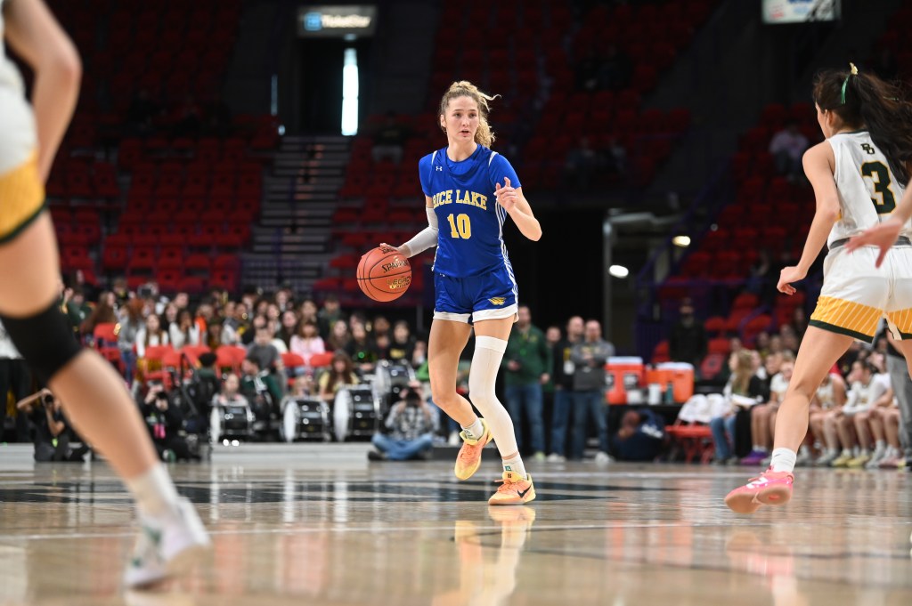 PGH Wisconsin Division 2 All-State Teams and Individual Honors