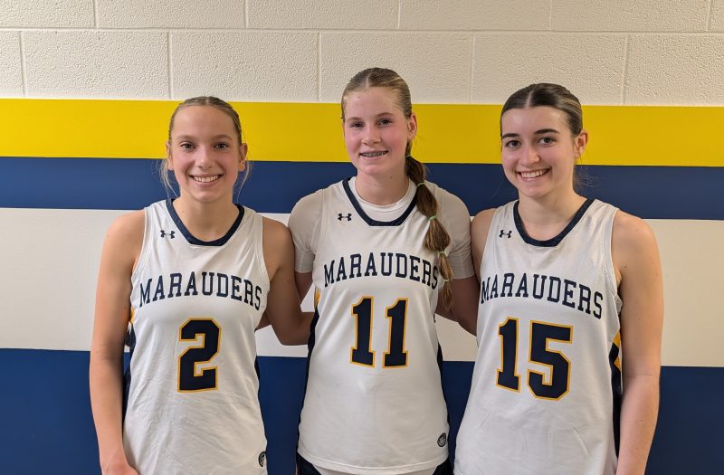 District 94: Ovid-Elsie Defends Home Court