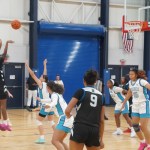 Sunshine Showdown: 2028s Shine Was Different