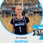 PGH MI State Tournament: Ten 15U Sunday Standouts