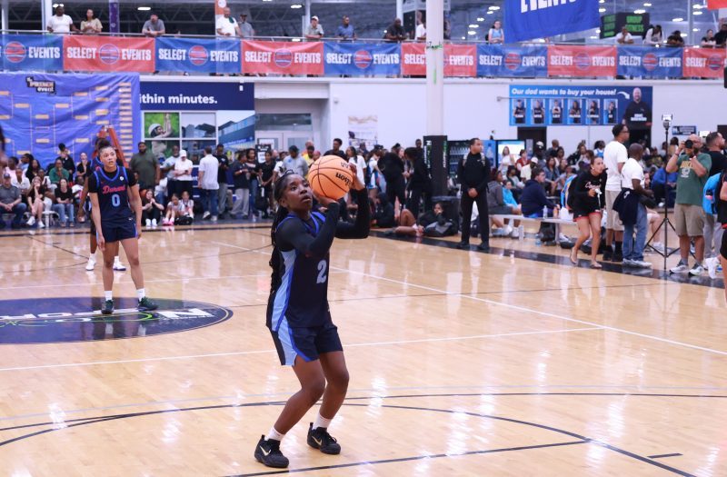 Ranking Update: Top 2029 Newcomers