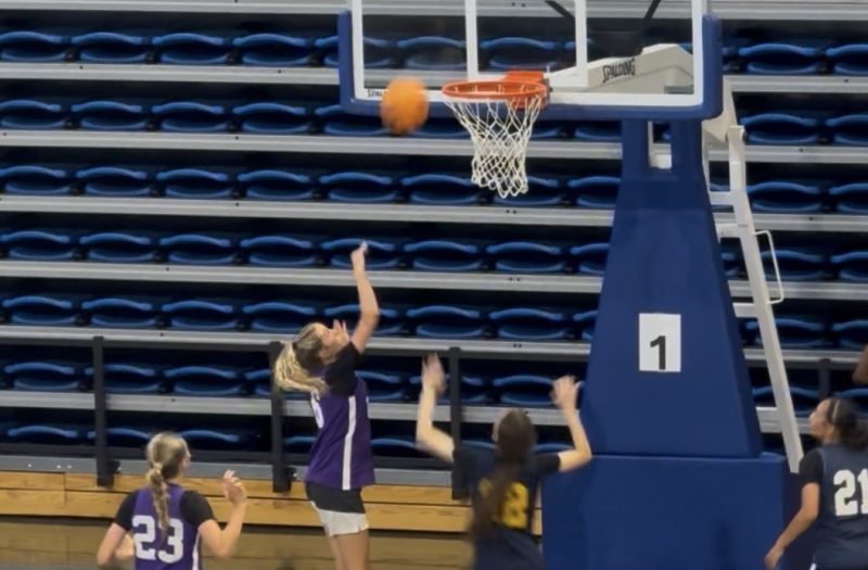 Gold Nuggets From Dahlonega