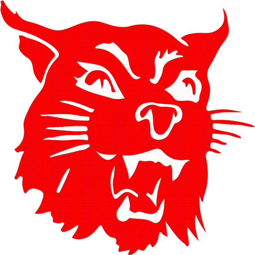 Harding Academy