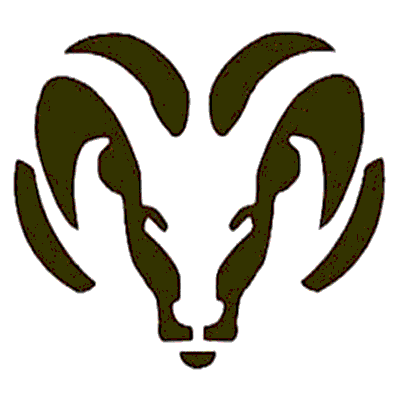 Holt