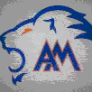 Auburn Mountainview
