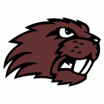 Beaver