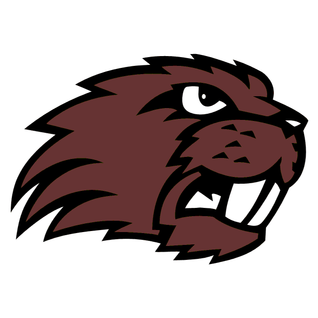 Beaver