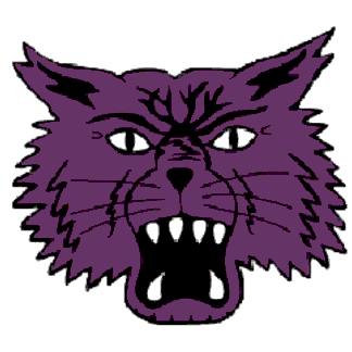 Muncie Central