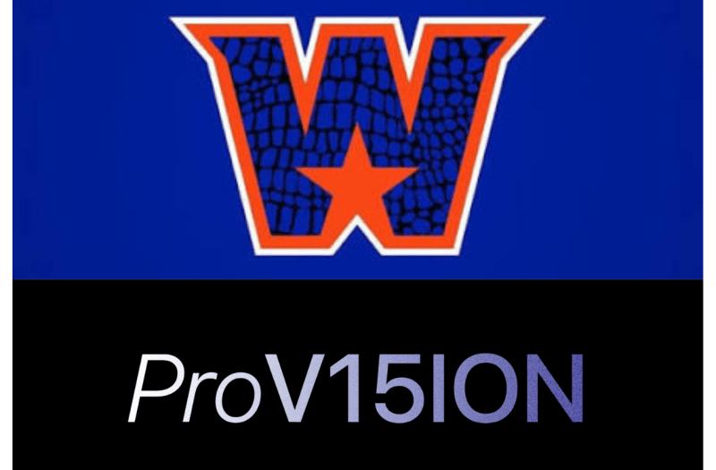 New Kids on the Block: WSA and ProV15ION