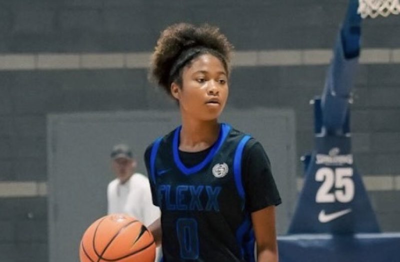 2029s Summer Stock Report: Part 1