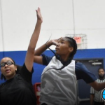 2028 Updated Stock Risers