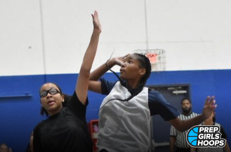 2028 Updated Stock Risers