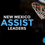 Elite Assists: 2028 Top Distributors