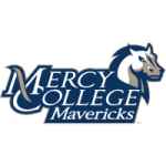 Mercy (NY)