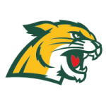 Northern Michigan logo