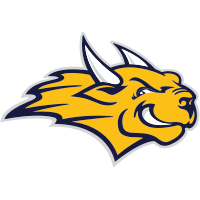 Webster (MO)
