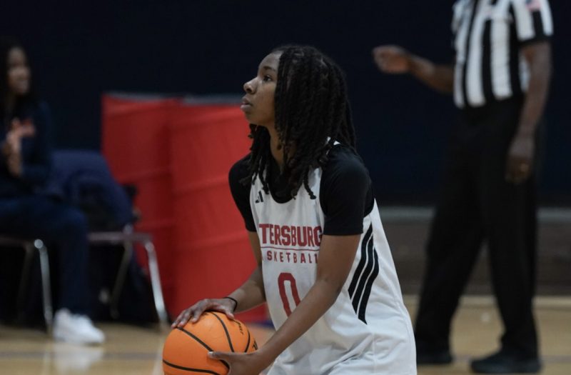 Battle on the Hardwood: Wildcats vs Wave-Experience Takes Over