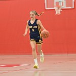 Brinkley Theis
