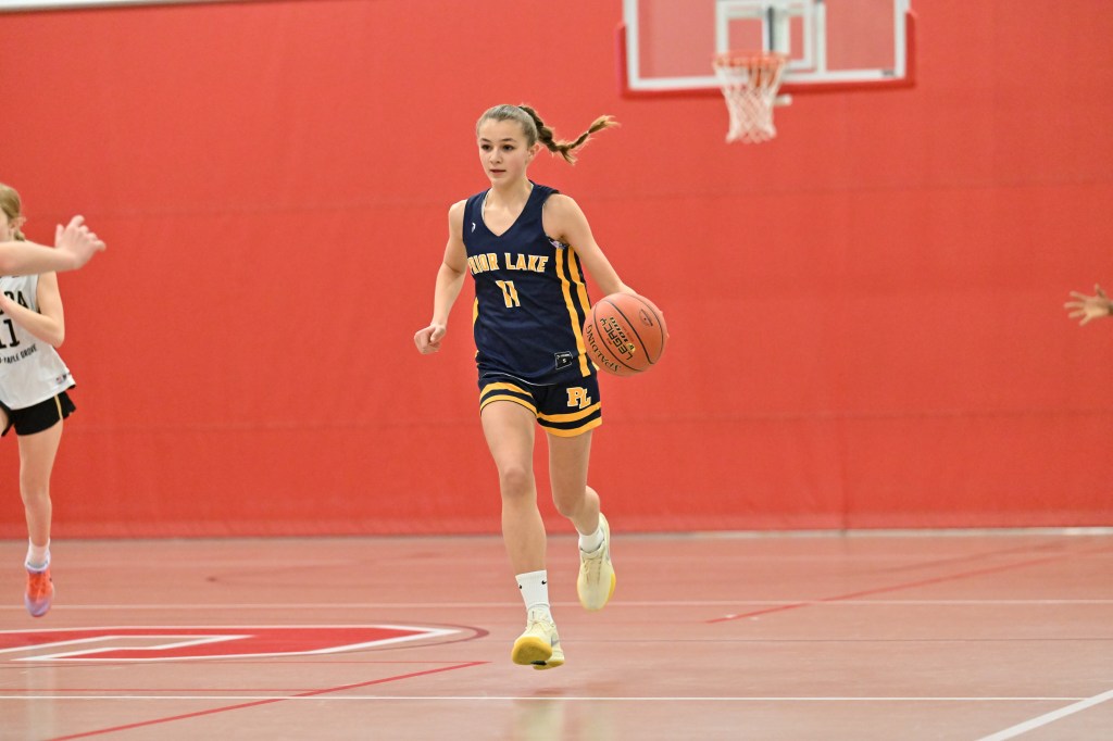Brinkley Theis