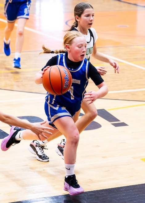 Harper Erickson